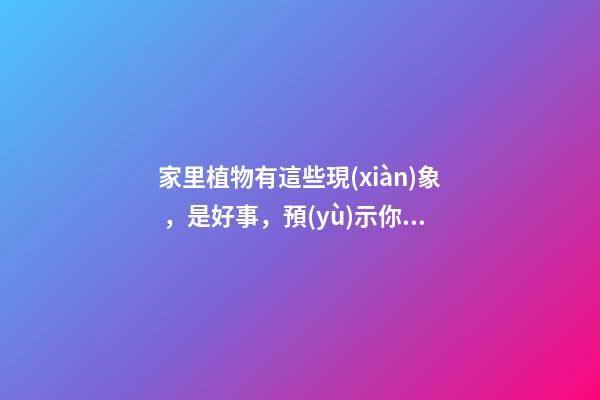 家里植物有這些現(xiàn)象，是好事，預(yù)示你家要發(fā)大財(cái)了！